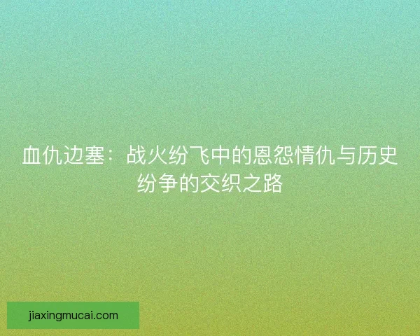 血仇边塞：战火纷飞中的恩怨情仇与历史纷争的交织之路