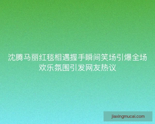 沈腾马丽红毯相遇握手瞬间笑场引爆全场欢乐氛围引发网友热议