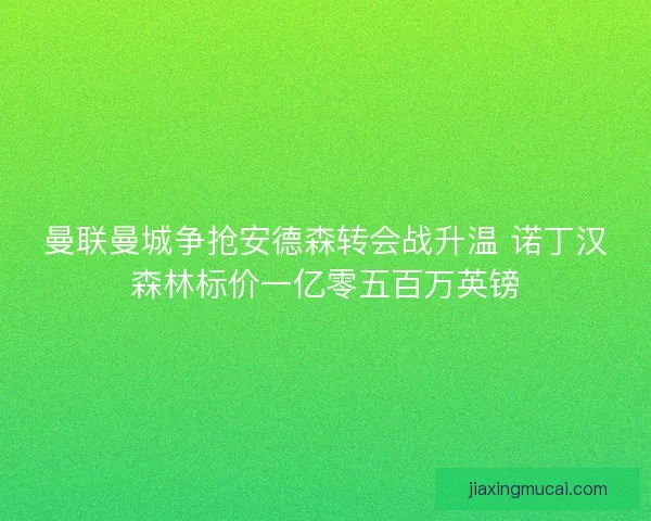 曼联曼城争抢安德森转会战升温 诺丁汉森林标价一亿零五百万英镑